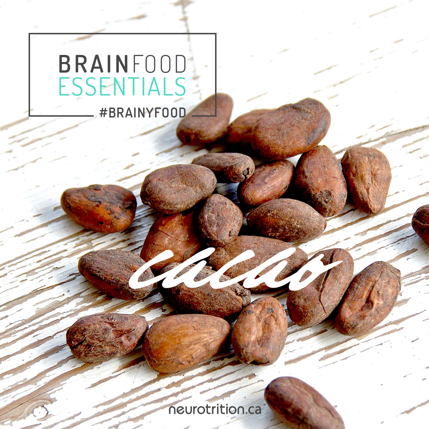  Brain Food Essentials :: Cacao