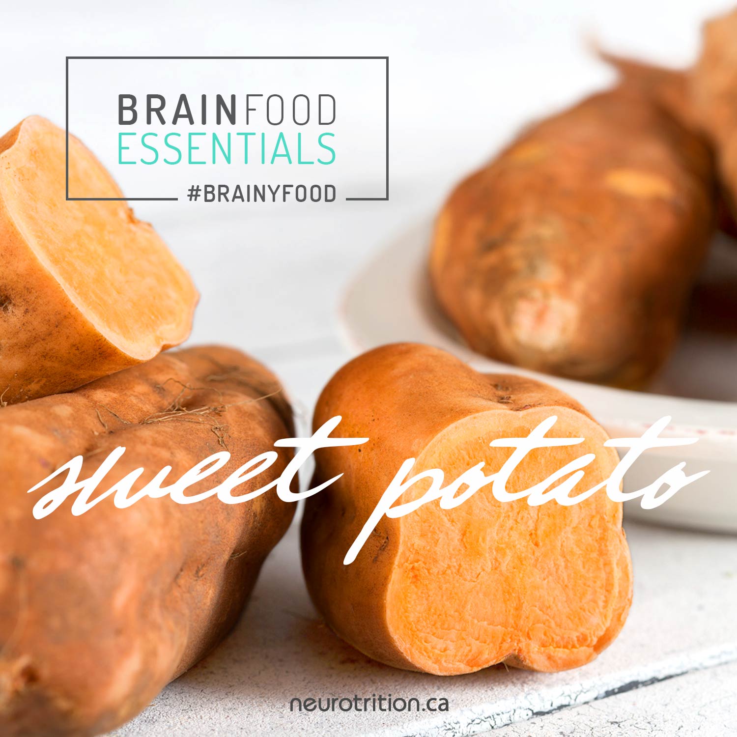 Sweet Potato
