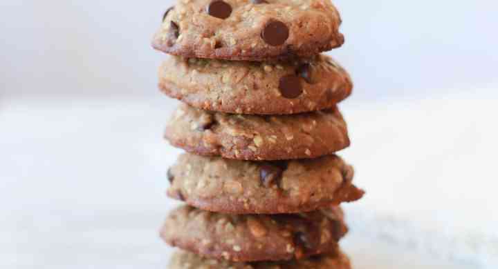 Cookie with chocolate chips, pretzels, graham crackers, oats