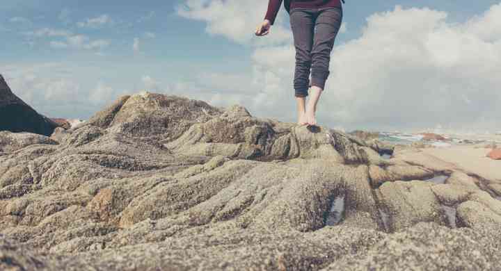 Harnessing the gut-brain connection to improve mood